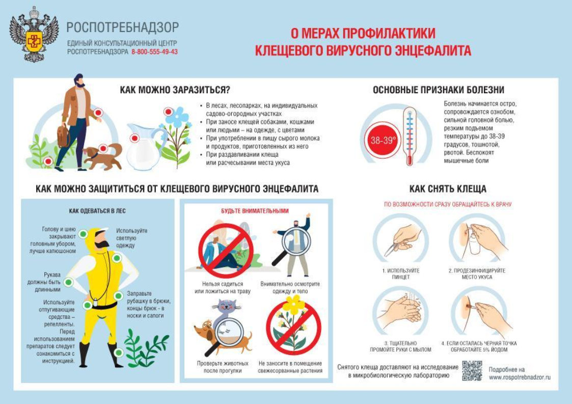 Открывается «горячая линия» по профилактике клещевого энцефалита —  Старооскольская окружная больница Святителя Луки Крымского